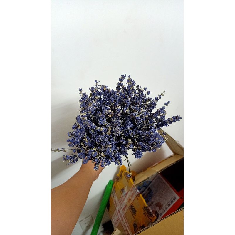 Bó hoa lavender oải hương khô 400 cành tím nhập Pháp FREE SHIP