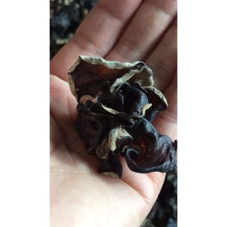 Mộc nhĩ rừng Tây Bắc 1kg