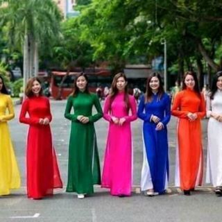 Vải tằm ý.