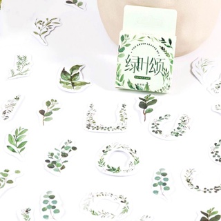 Hộp 45 hình dán sticker lá cây