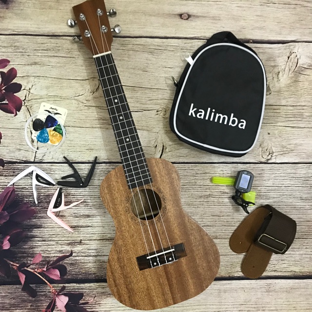 ĐÀN UKULELE MG4 HOẠ TIẾT