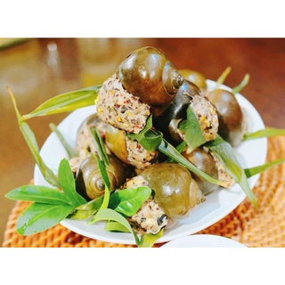 ỐC NHỒI THỊT Khay 12 con