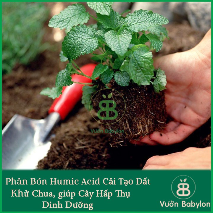 Phân Hữu Cơ Acid Humic Kích Rễ, Cải Tạo Đất Nhập Khẩu Mỹ 250Gr