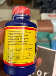 Vitamin b1 thái 100ml
