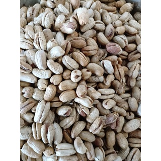 Hạt giống chà là kiểng - chà là cảnh | 500 gram/gói