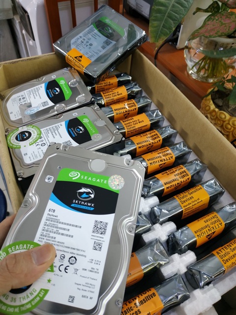 Ổ cứng PC Hdd 250GB + Dây sata 3 | BigBuy360 - bigbuy360.vn