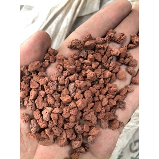 Đá nham thạch đỏ- đen chỉ 15k /1kg