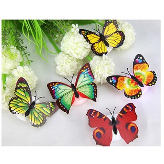 Đèn Led trang trí giáng sinh hình bướm E003