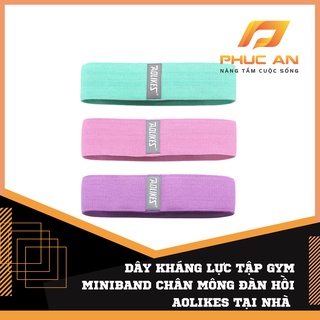 Dây kháng lực tập gym miniband chân mông đàn hồi aolikes tại nhà PHUCAN