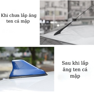 Ăng ten cá mập vây ăng ten cá mập ô tô.