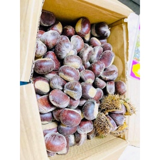 1KG HẠT DẺ TRÙNG KHÁNH