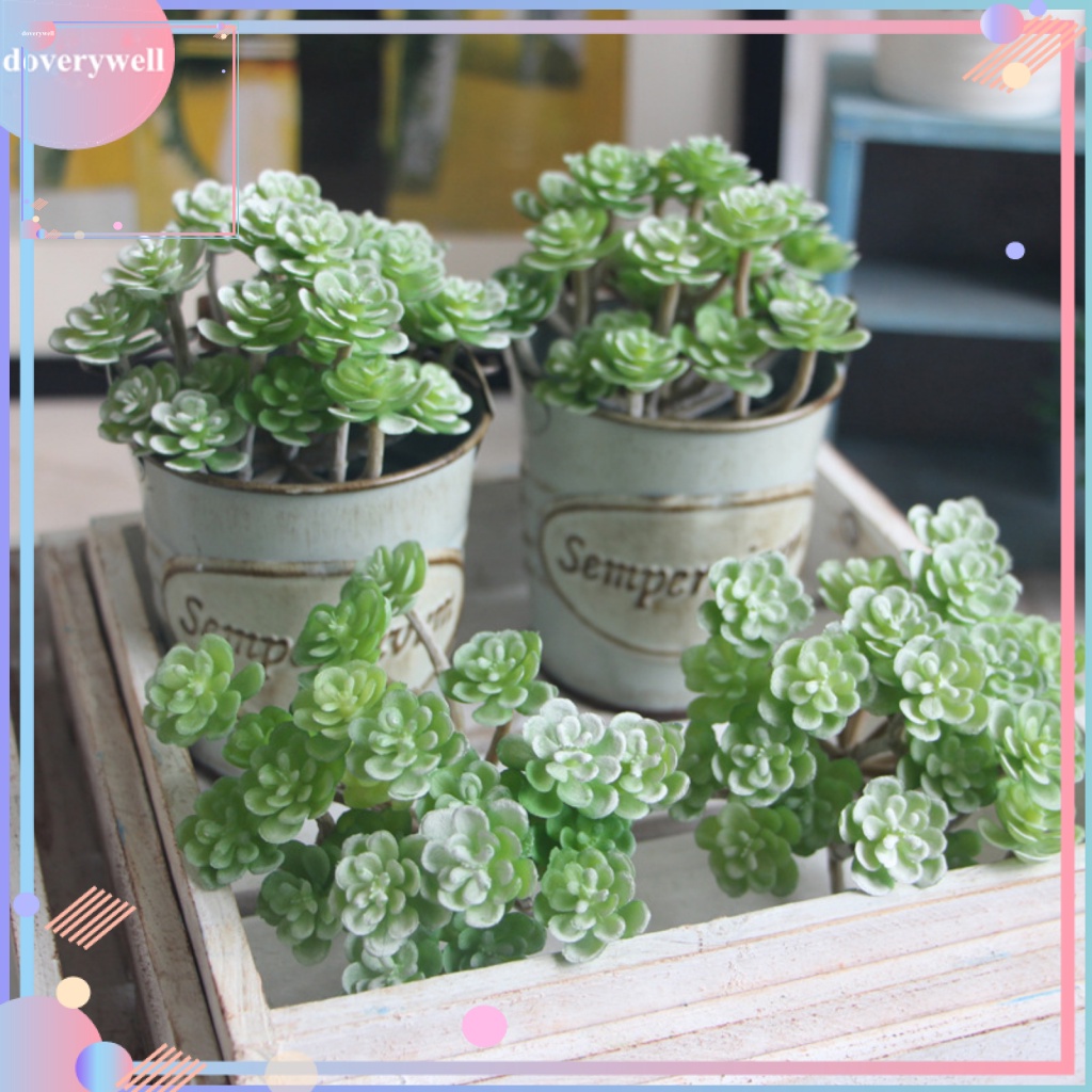 (DOV) Cây Mọng Nước Nhân Tạo Trang Trí Phòng Khách Không Phai Màu