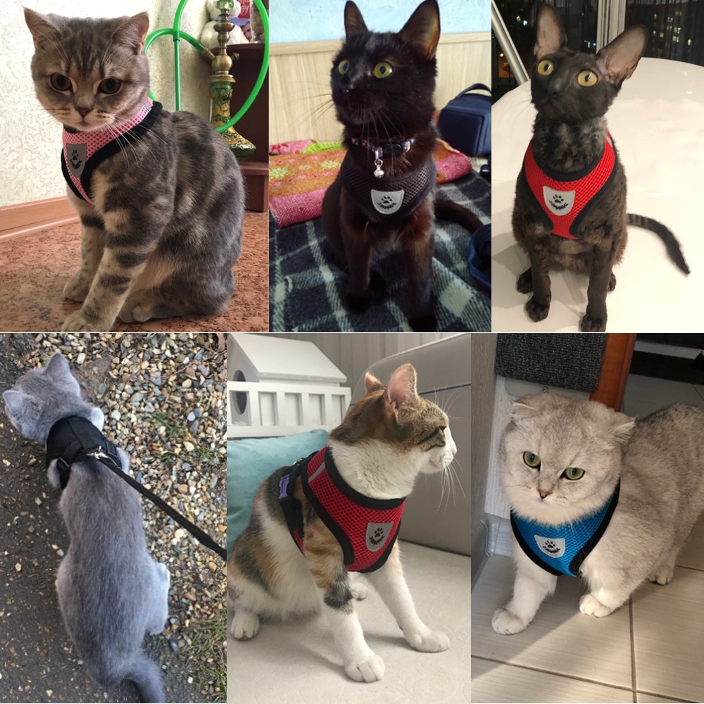 &lt;cutepethome&gt;Dây Dắt Thú Cưng Đi Dạo Phối Lưới Thoáng Khí Phản Quang Độc Đáo Cho Cún Cưng