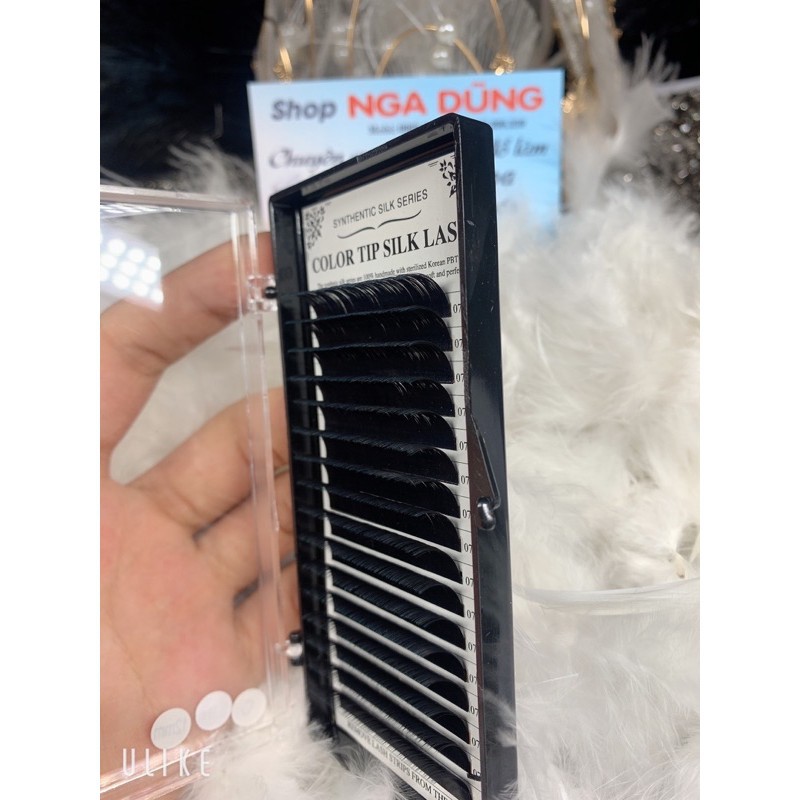 Mi color tip silk lash dày 0,7