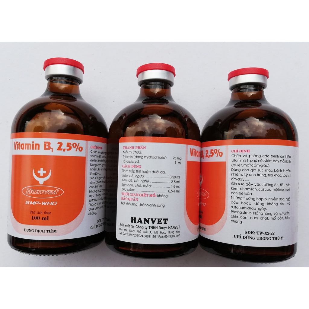 1 lọ Vitamin B1 100ml Dùng cho gia súc, gia cầm,  chó mèo khi ốm dậy, gầy yếu, biếng ăn, tiêu hóa kém,chậm lớn, còi cọc