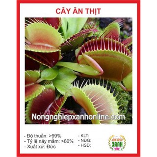 Hạt giống Cây ăn thịt (bẫy kẹp) 10