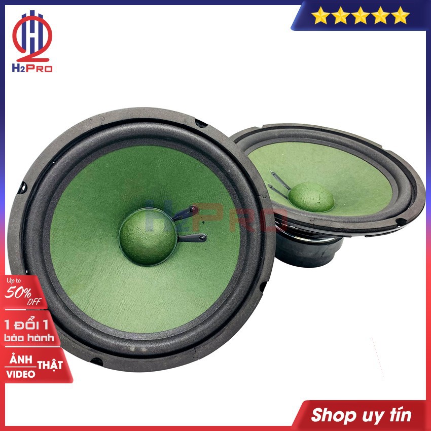 Đôi loa bass 25 BMB H2Pro 300W-8 ôm-từ kép 115+100, coil 39-4 lớp (2 loa), tiếng ấm, căng (new 2021 màng xanh)