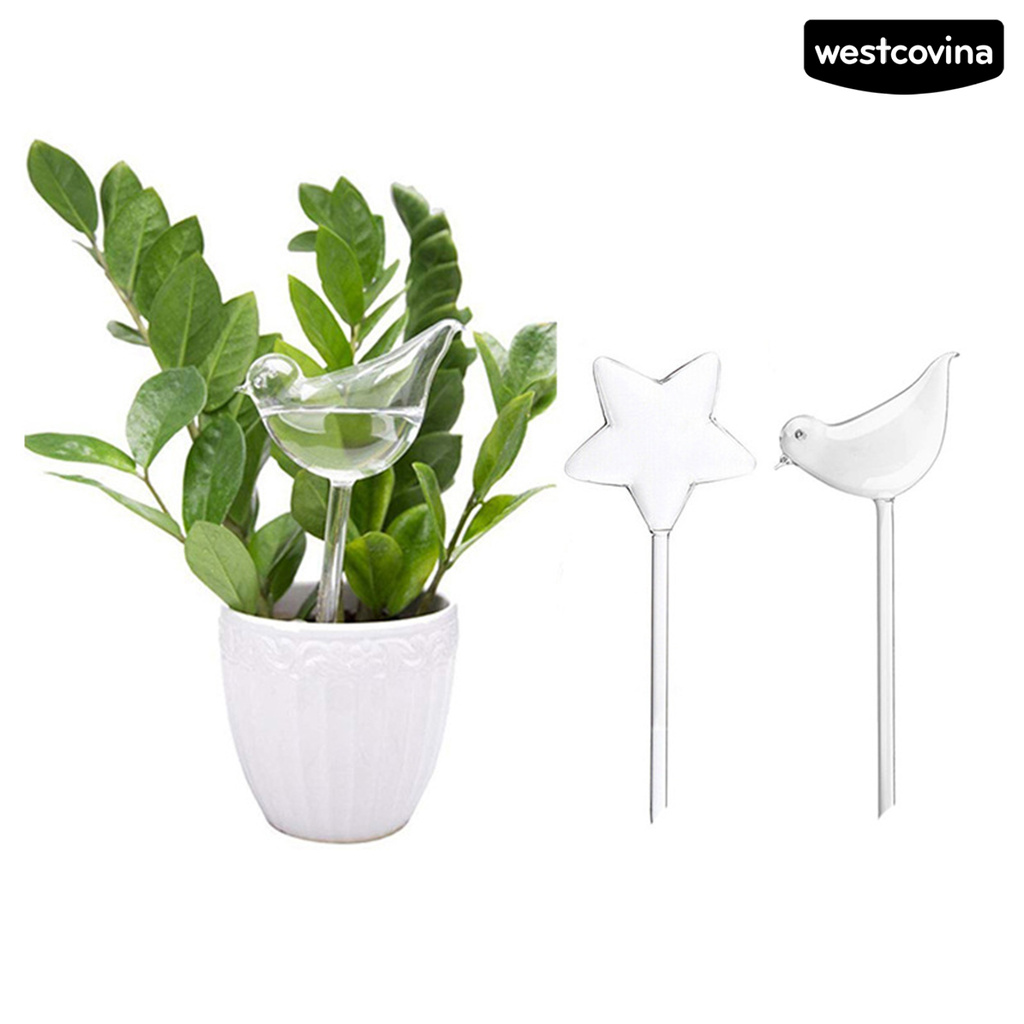 Quả Địa Cầu Tự Tưới Nước Cho Cây Cảnh