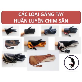 CÁC LOẠI GĂNG TAY DA BÒ HUẤN LUYỆN CHIM SĂN