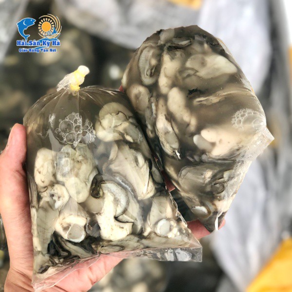 Giá Sỉ - Ruột Hàu Sữa Giá Sỉ Rẻ Nhất