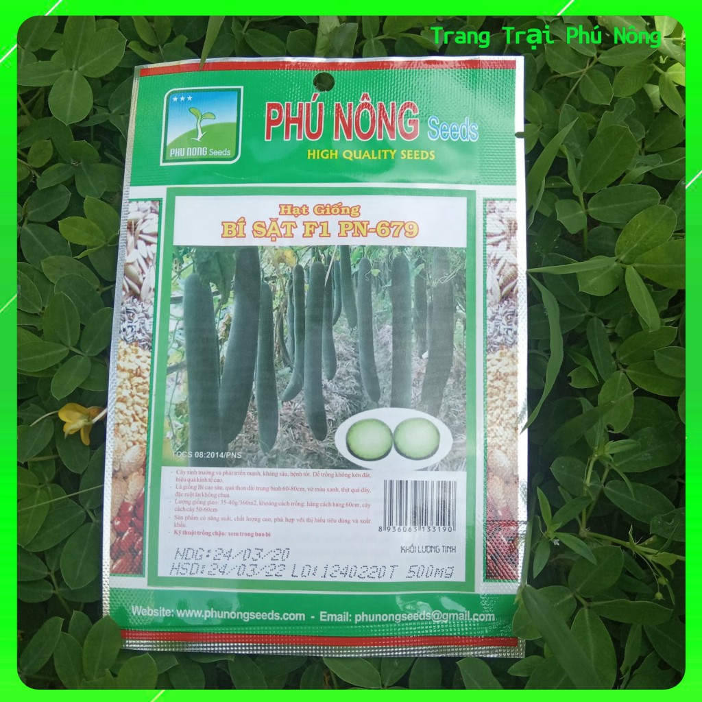 Hạt Giống Bí Sặt PN-679 Phú Nông - Gói 0.5g