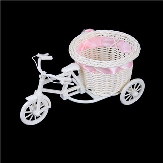 Bộ 2 Bình Hoa Dạng Bện Hình Xe Đạp Lãng Mạn