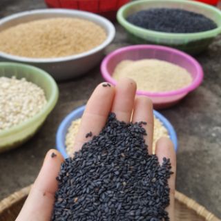 Hạt vừng Đen Quê loại 1, đã đãi sạch