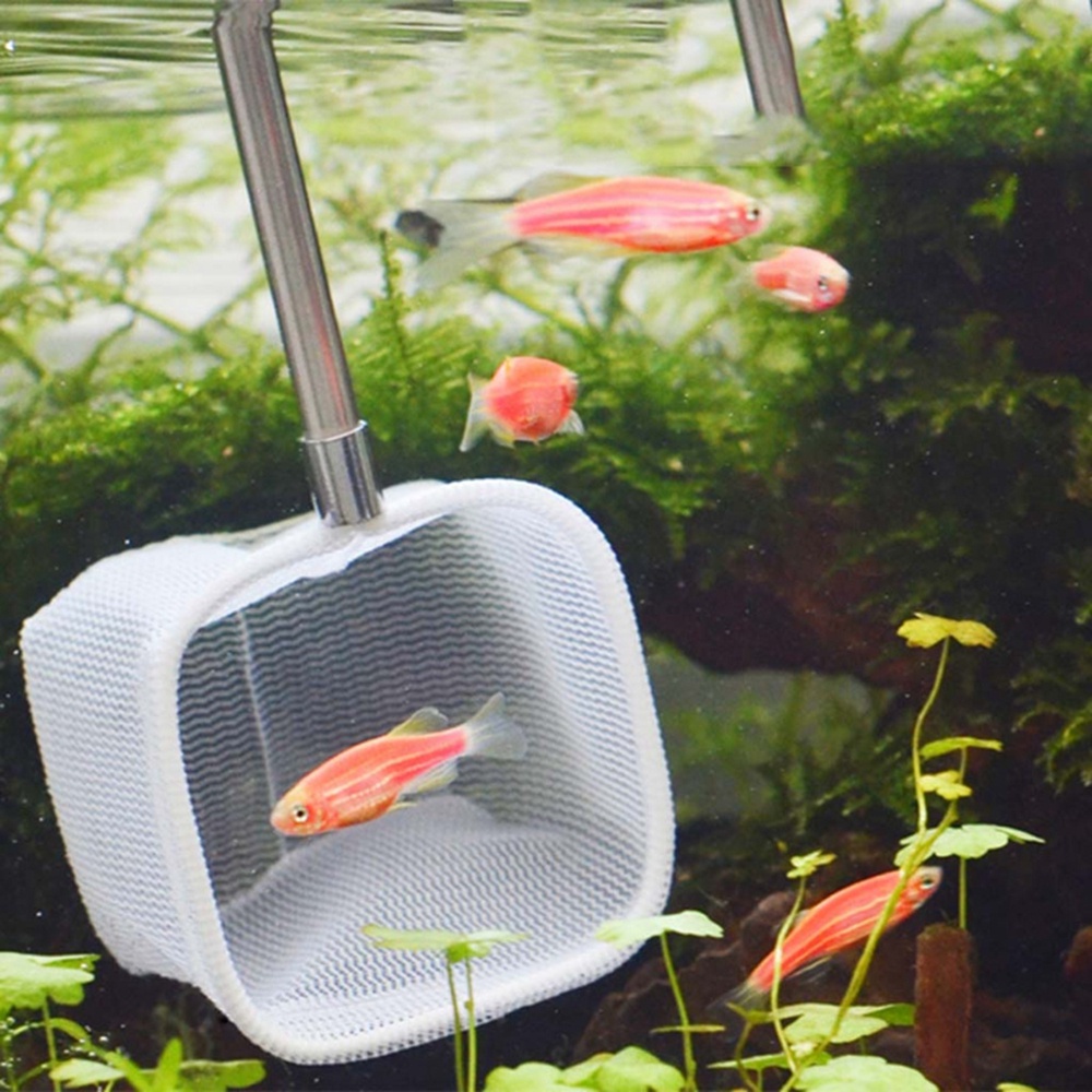 Vợt Lưới Bắt Cá Làm Từ Thép Không Gỉ Có Thể Thu Gọn Tiện Lợi Cao Cấp 18-53cm