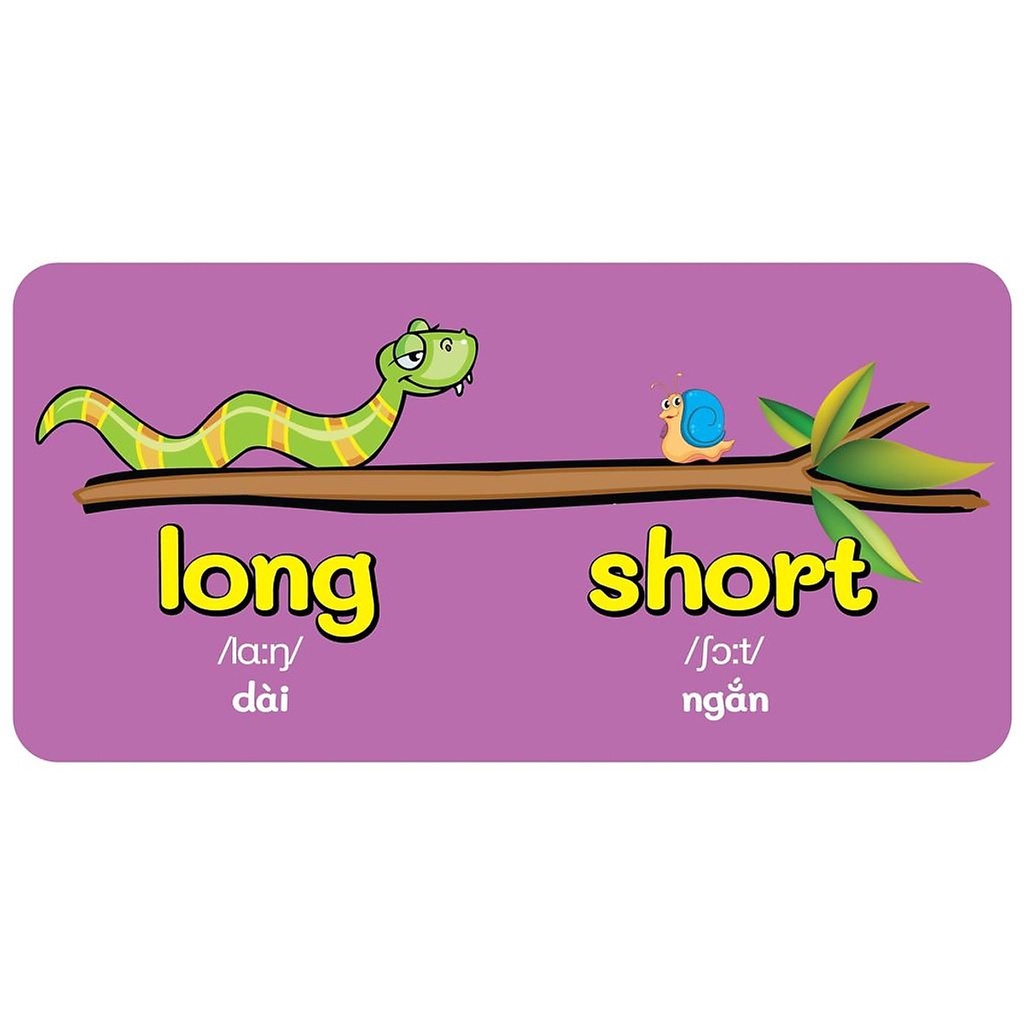 Sách Từ Điển Bằng Hình Đầu Tiên Của Bé - Opposite - Đối Lập