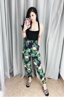 Sỉ Quần bo chun gấu