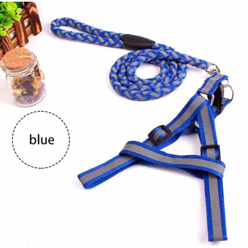 Dây dắt phản quang ban đêm có yếm