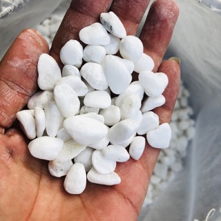 Sỏi trắng trang trí bể cá túi 200g