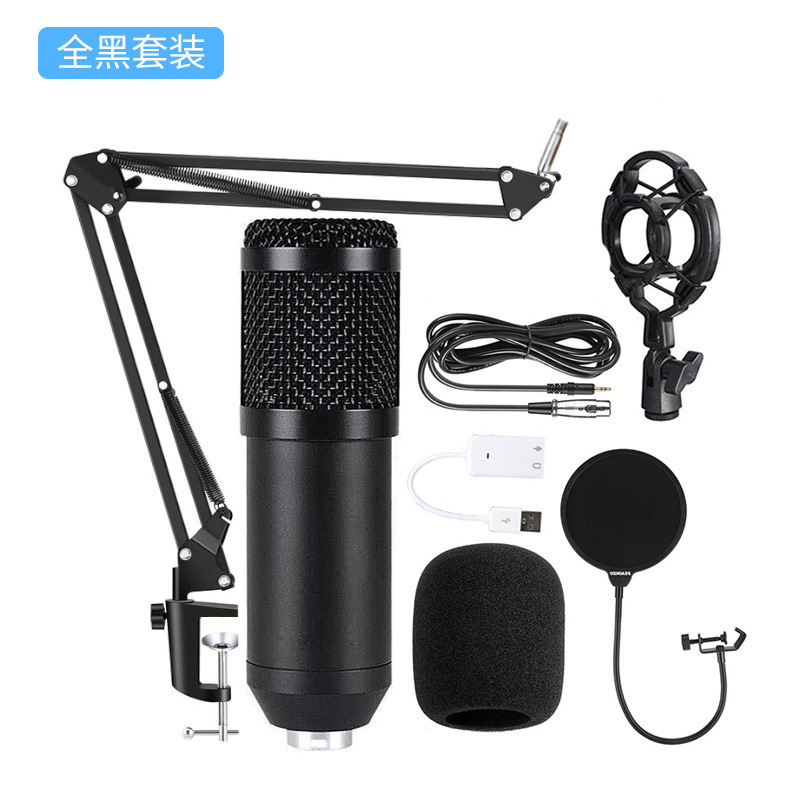 Micro Thu Âm Chuyên Nghiệp Bm800 Cho Máy Tính Thẻ | BigBuy360 - bigbuy360.vn