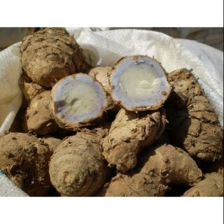 Nghệ đen khô thái lát 1kg