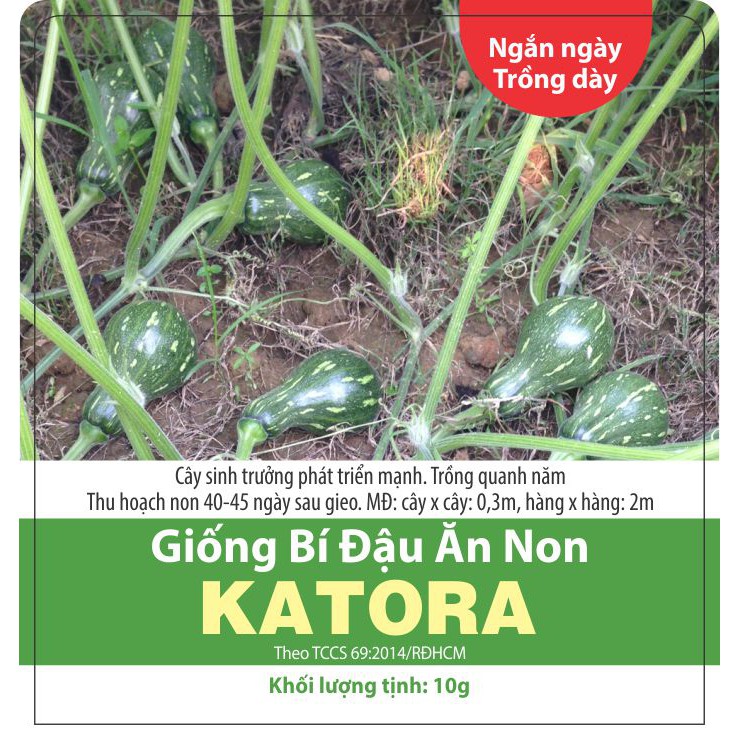 Hạt giống Bí Đậu Ăn Non KATORA 1gr