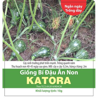 Hạt giống Bí Đậu Ăn Non (10 hạt)