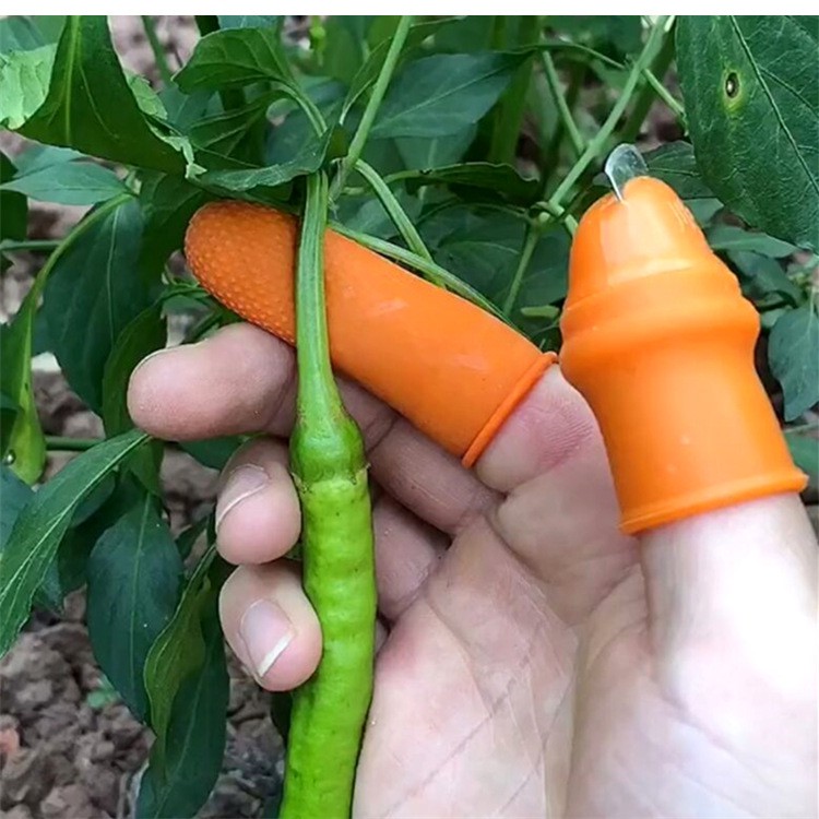 Bộ Móng Nhặt Rau Củ Quả Chống Bẩn Móng Tay, Ngón Cái Bấm Cắt Rau Củ - Nạo Gọt Tiện Lợi - Dumi Shop