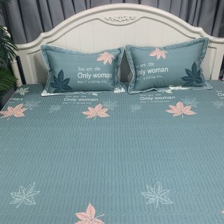 Bộ ga chun trần cotton 100%