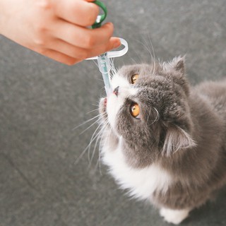 Dụng cụ cho mèo uống thuốc