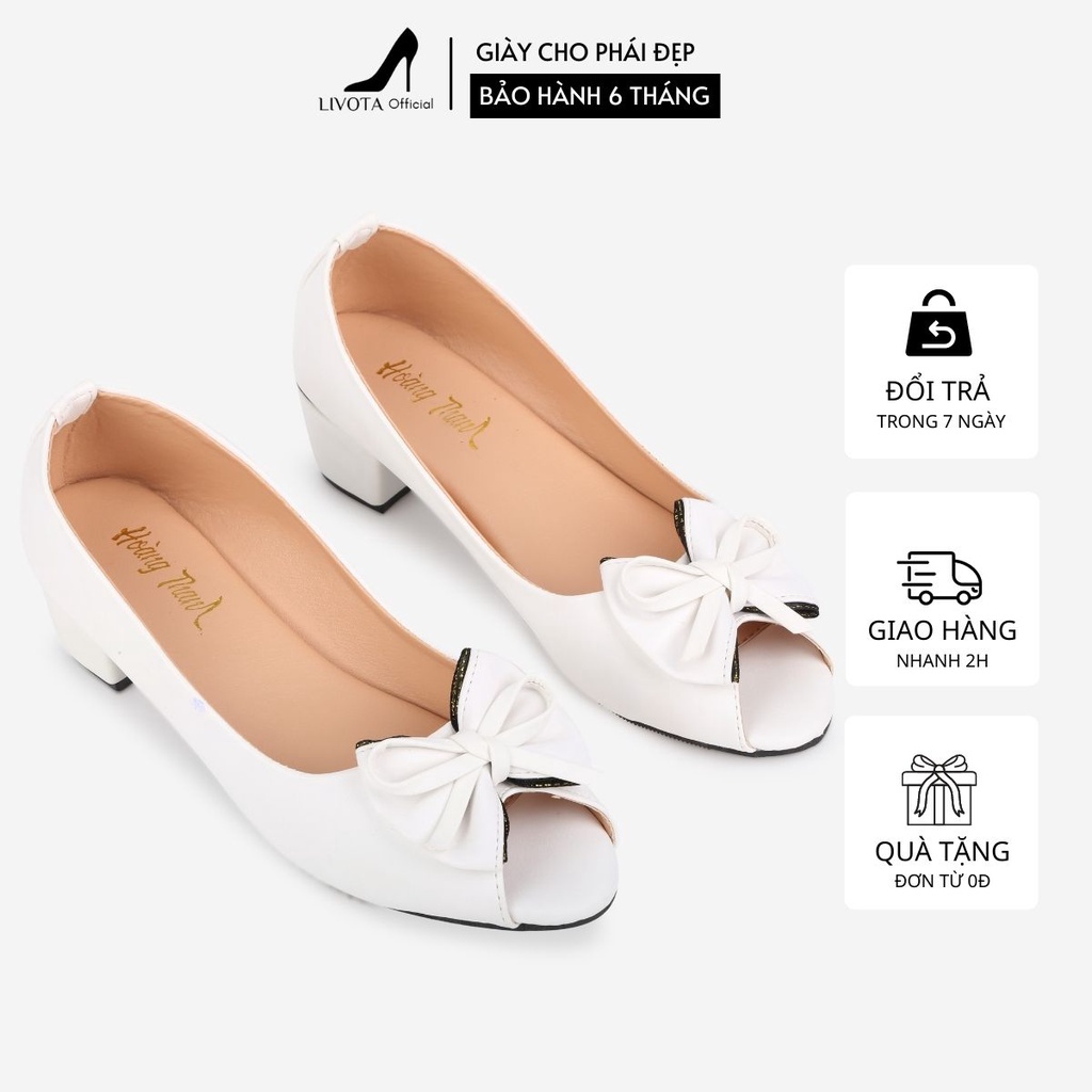 Giày Cao Gót Đế Vuông Giày Búp Bê Mũi Nhọn Công Sở Nữ 3 Phân LIVOTA G1