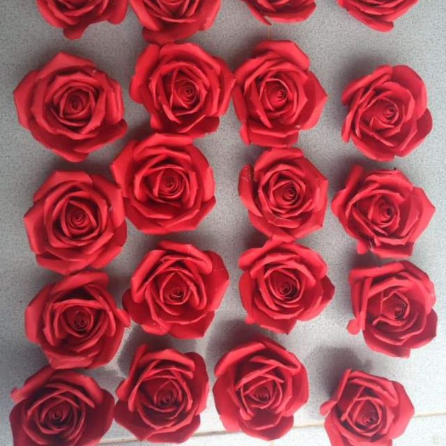 Combo hoa hồng mỹ thuật