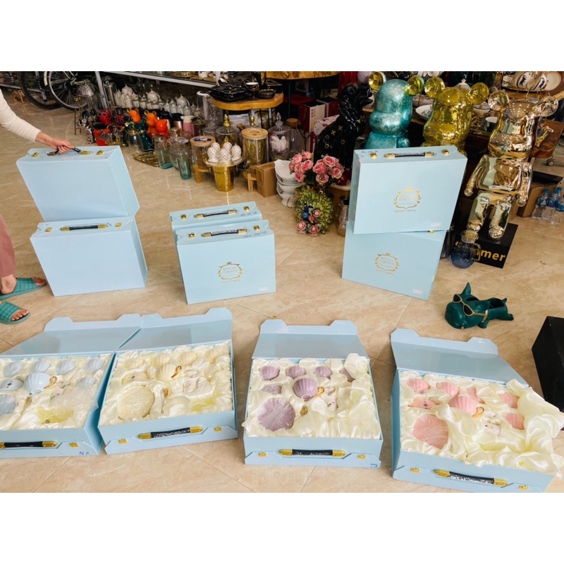 Bộ trà hoa sứ xương màu Pastel tiểu thư siêu đẹp- Bộ ấm chén