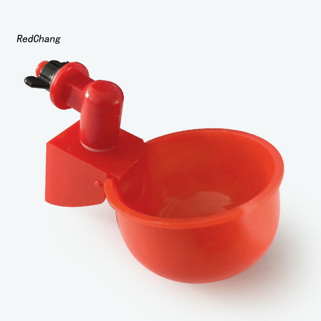 Tô Đựng Nước Uống Bằng Nhựa Hình Chú Gà Dễ Thương