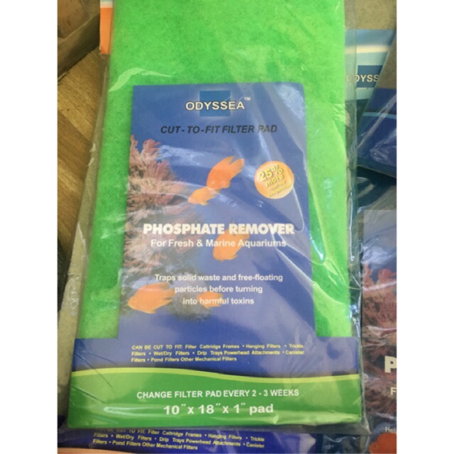 Bông lọc của hãng Odyssea