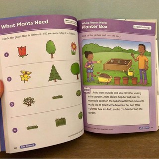 Bộ 3q- Smart Start Stem