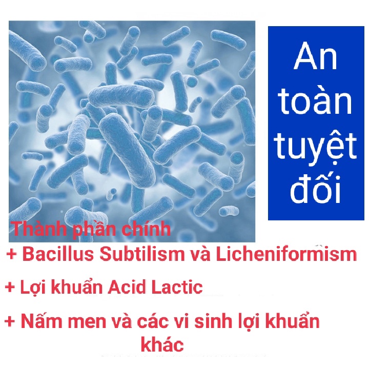 *Hoả tốc* Men vi sinh cho chó mèo Borammy Probiotics gói 5g - Men tiêu hóa cho chó mèo