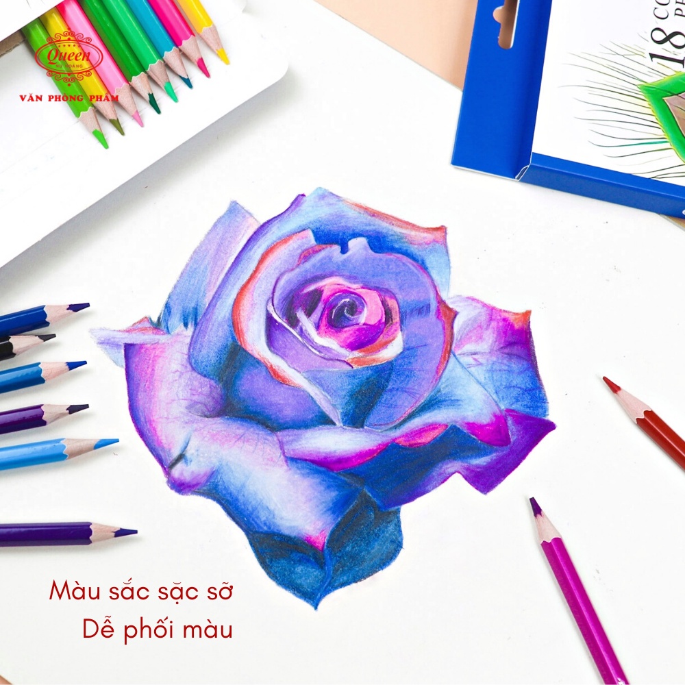 Bút chì màu Queen  - 12/18/24 Màu - CP-H12/CP-H18/CP-H24 - Chính Hãng