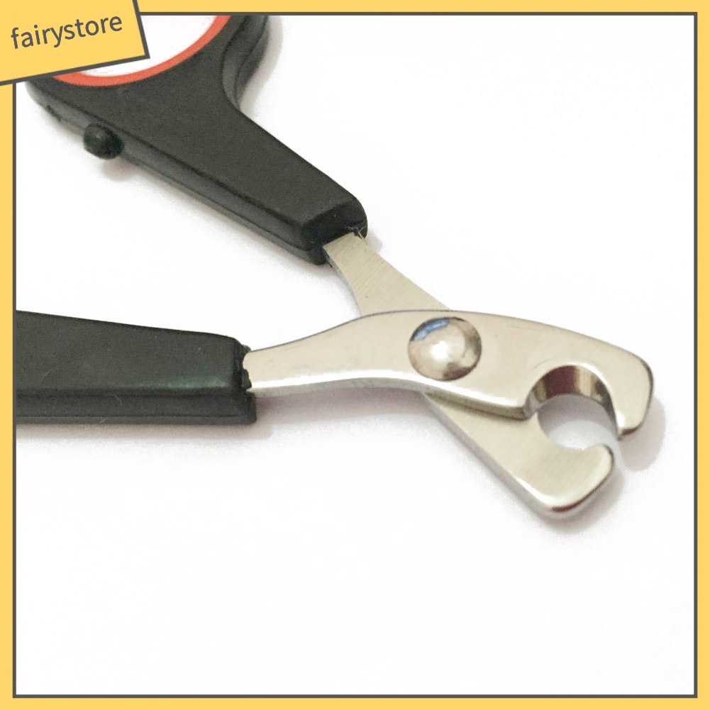 Đồ bấm móng an toàn cho thú cưng