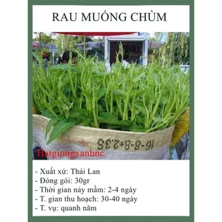 Hạt giống rau muống nước siêu ngọn Thái lan F1, Gói 30 Gram, Rau củ quả trồng sân thượng, tại vườn, ban công.