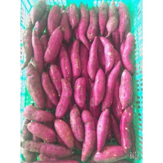 1KG KHOAI LANG NHẬT